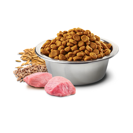 Farmina N&D Cat Ancestral Grain Lamb Adult 1,5kg Sucha Karma Dla Kota Jagnięcina z Borówką