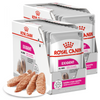 Royal Canin CCN Exigent 24x85g Karma Mokra Pasztet Dla Wybrednych Psów Dorosłych