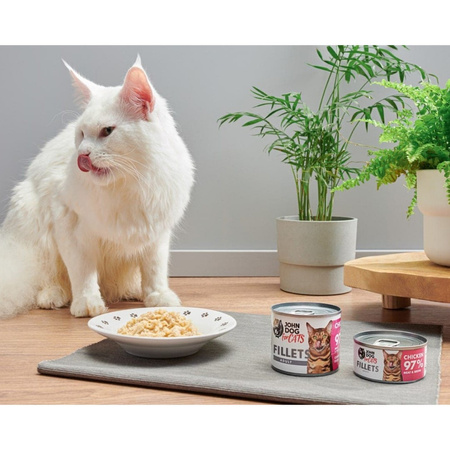 John Dog for Cats Mokra Karma Dla Dorosłych Kotów Filety Z Kurczaka 24x70g