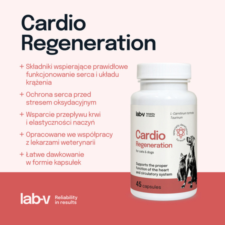 LAB-V Cardio Regeneration Suplement Dla Psów i Kotów 45 Kapsułek Wsparcie Prawidłowego Funkcjonowania Pracy Serca i Układu Krążenia
