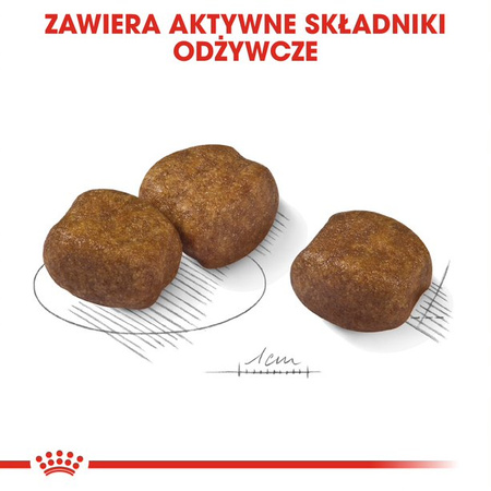 Royal Canin CCN Maxi Dental Care 9kg Karma Sucha Dla Psów Dorosłych Ras Dużych Redukująca Powstawanie Kamienia Nazębnego