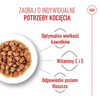 Royal Canin FHN Kitten Sterilised W Sosie 6x85g Karma Mokra Dla Kociąt Sterylizowanych Do 12 Miesiąca Życia