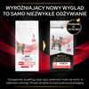 Purina Pro Plan Veterinary Diets Feline DM Diabetes Management Sucha Karma Dla Kota 5kg Redukcja Glukozy
