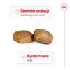 Royal Canin Giant Adult 15kg Karma Sucha Dla Psów Dorosłych Od 18/24 Miesiąca Życia Ras Olbrzymich
