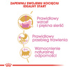 Royal Canin FBN Persian Kitten 2kg Karma Sucha Dla Kociąt Do 12 Miesiąca Życia Rasy Pers