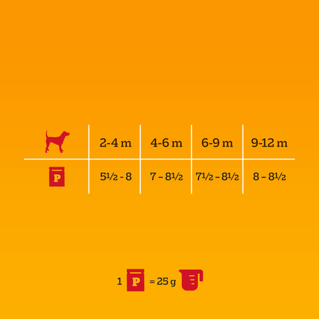 Pedigree Junior Saszetka 24x100g Mokra Karma Dla Psa Kawałki Bogate W Kurczaka W Galaretce