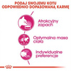 Royal Canin Exigent Aromatic Attraction 10kg Karma Sucha Dla Kotów Dorosłych Wybrednych Kierujących Się Zapachem