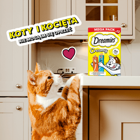 Dreamies Creamy 24x10g Kremowy Przysmak Dla Kota Z Kurczakiem I Z Łososiem 