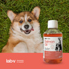 LAB-V Olej Z Łososia 100% Dla Psa I Kota 250ml Na Skórę Sierść I Alergie