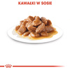 Royal Canin Adult Shih Tzu Sucha Karma Dla Psów 7,5kg + W Sosie Dla Małych Ras 12x85g