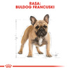 Royal Canin BHN French Bulldog Adult 3kg Karma Sucha Dla Psów Dorosłych Rasy Bulldog Francuski