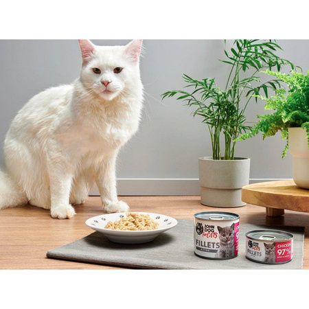 John Dog for Cats Mokra Karma Dla Kociąt Filety Z Kurczaka 70g
