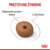 Royal Canin Medium Light Weight Care 3kg Karma Sucha Dla Psów Średnich Ras Z Tendencją Do Nadwagi