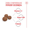 Royal Canin SHN Medium Puppy 15kg Karma Sucha Dla Szczeniąt Od 2 Do 12 Miesiąca Ras Średnich