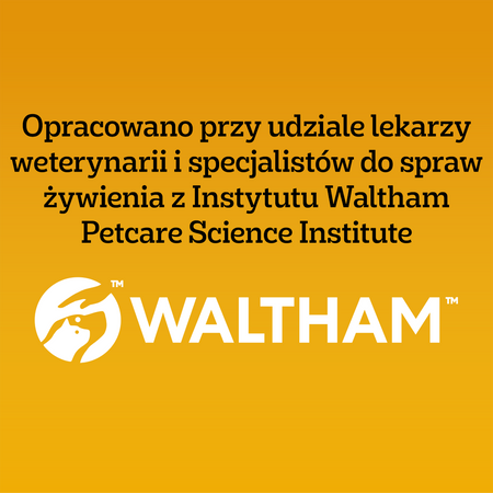 Pedigree Professional Nutrition Adult Maxi 12kg Sucha Karma Dla Psów Ras Dużych Z Drobiem I Warzywami