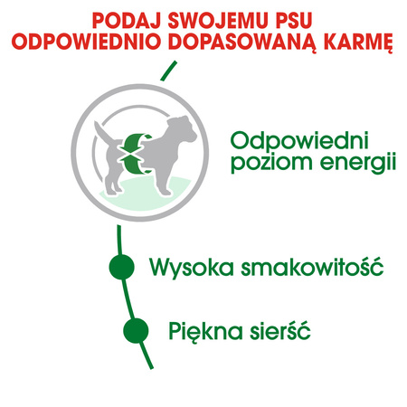 Sucha Karma Dla Psa Royal Canin Mini SHN 9kg (8kg+1kg Gratis)