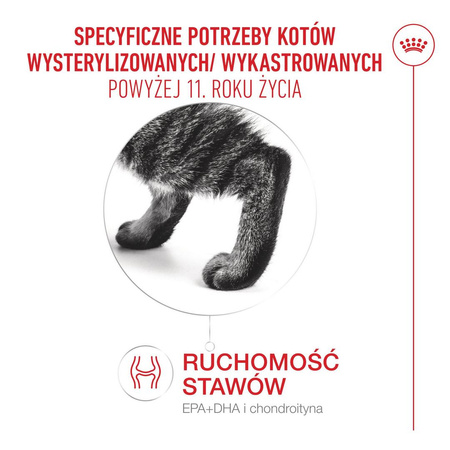 Royal Canin Ageing Sterilised 11+ Karma Sucha 2kg Dla Kotów Dojrzałych Po Sterylizacji Powyżej 11 Roku Życia