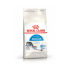 Royal Canin Indoor 10kg + 12x85g Sucha i Mokra Karma Dla Niewychodzących Dorosłych Kotów