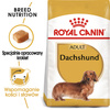 Royal Canin BHN Dachshund Adult 1,5kg Karma Sucha Dla Psów Dorosłych Rasy Jamnik