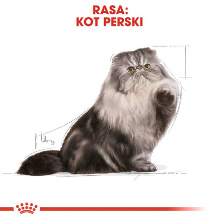 Royal Canin FBN Persian Adult 85g Karma Mokra Pasztet Dla Kotów Dorosłych Rasy Pers