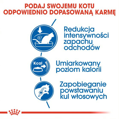 Royal Canin Indoor 10kg + 12x85g Sucha i Mokra Karma Dla Niewychodzących Dorosłych Kotów