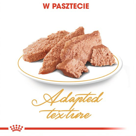 Royal Canin FBN Persian Adult 85g Karma Mokra Pasztet Dla Kotów Dorosłych Rasy Pers