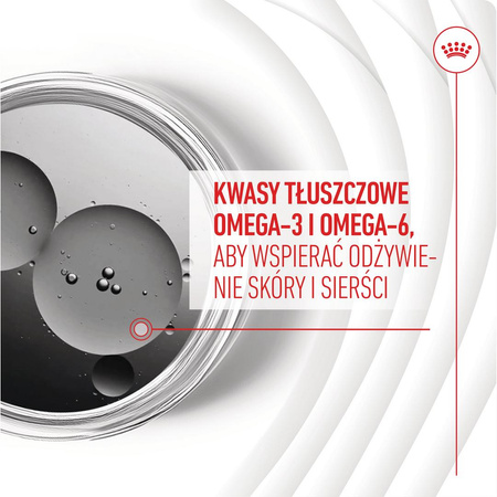 Royal Canin Supplements Dog Skin & Coat Adult 240g Przysmak Suplement dla Psa Na Skórę i Sierść