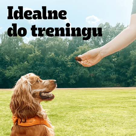 Pedigree Ranchos Sausages 7x60g Naturalny Przysmak dla Psa Z Wieprzowiną I Soczystymi Jabłkami