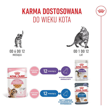 Royal Canin FHN Kitten Sterilised w Sosie i Galaretce 24x85g Karma Mokra Dla Kociąt Sterylizowanych Do 12 Miesiąca Życia