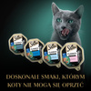 Sheba Classics Rybne Smaki Tacka 8x85g Mokra Karma Pełnoporcjowa Dla Kota W Terynie
