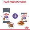 Royal Canin Appetite Control Care Karma Mokra W Sosie Dla Kotów Domagających Się Jedzenia 12x85g