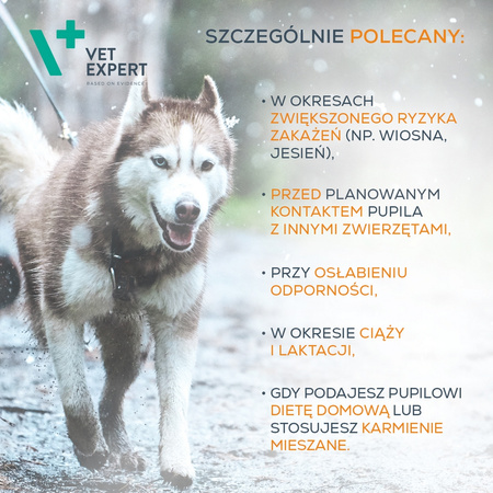 Suplementy dla psa i kota VetExpert Immune System ODPORNOŚĆ 30 kapsułek