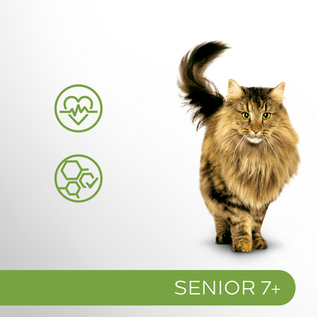 Perfect Fit Senior 7+ 6x85g Mokra Karma Dla Starszych Kotów Z Indykiem I Marchewką W Sosie