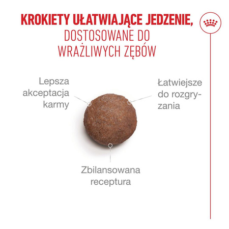 Royal Canin Ageing 15+ Karma Sucha 4kg Dla Kotów Dojrzałych Powyżej 15 Roku Życia