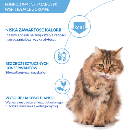 Inaba Cat Churu Hairball 4x14g (56g) Kremowy Przysmak Dla Kota Pasta Z Kurczakiem Przeciw Kulom Włosowym