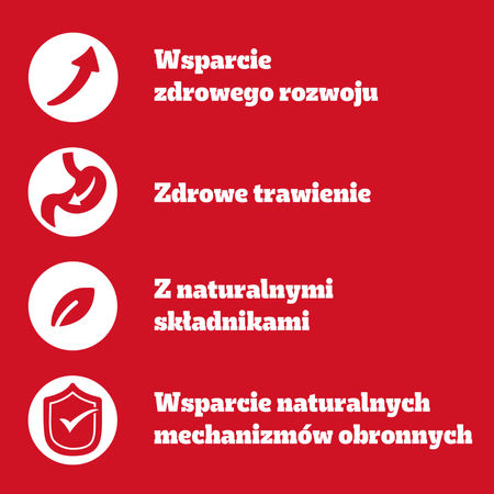 Pedigree Junior Wybór Smaków 80x100g Mokra Karma Dla Szczeniąt  Wołowina Kurczak Jagnięcina Ryż W Galaretce