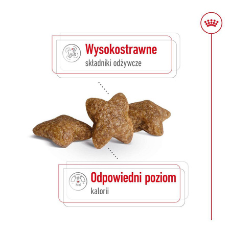 Royal Canin Adult Mini Sucha Karma Dla Psów Małych Ras 2kg