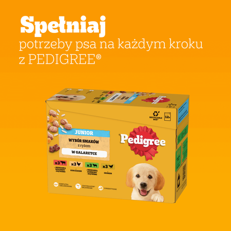 Pedigree Junior Saszetka 12x100g Mokra Karma W Galaretce Dla Psa Mix Czterech Smaków