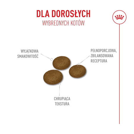 Royal Canin Exigent Fussy 2kg Karma Sucha Dla Kotów Dorosłych Wybrednych
