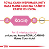 Royal Canin FBN Maine Coon Kitten 2kg Karma Sucha Dla Kociąt Do 15 Miesiąca Rasy Maine Coon