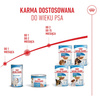 Royal Canin Starter Mousse Mother & Babydog 6x195g Karma Mokra Mus Dla Suk W Czasie Ciąży Laktacji I Szczeniąt