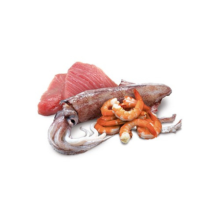 Farmina N&D Cat Ocean Tuna Squid & Shrimp 24x70g Mokra Karma Dla Kota Kalmar Tuńczyk Krewetka