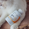 LAB-V Urinary Cat Suplement Dla Kotów 45 Kapsułek Wsparcie Układu Moczowego Redukcja Kamieni