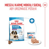 Royal Canin Giant Starter Mother & Babydog 15kg Karma Sucha Dla Suk W Czasie Ciąży Laktacji I Szczeniąt Ras Olbrzymich