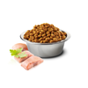 Farmina N&D Dog Ocean Herring Orange Adult Mini 800g Sucha Karma Dla Dorosłych Psów Małych Ras Ze Śledziem I Pomarańczą