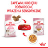 Royal Canin FHN Kitten Instinctive 48x85g Karma Mokra W Galaretce Dla Kociąt Do 12 Miesiąca Życia