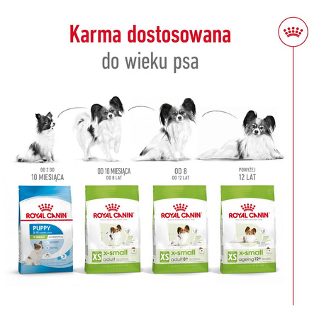 Royal Canin Adult 8+ X-Small 1,5kg Sucha Karma Dla Psów Dojrzałych Powyżej 8 Roku Życia Ras Miniaturowych Do 4kg