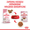 Royal Canin FHN Kitten Instinctive 48x85g Karma Mokra W Sosie Dla Kociąt Do 12 Miesiąca Życia