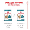 Royal Canin Ageing Sterilised 11+ Karma Sucha 4kg Dla Kotów Dojrzałych Po Sterylizacji Powyżej 11 Roku Życia