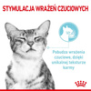 ROYAL CANIN Sensory Mix Smell Taste Feel w Sosie Zestaw 24x85g Mokra Karma Dla Kotów Wybrednych
